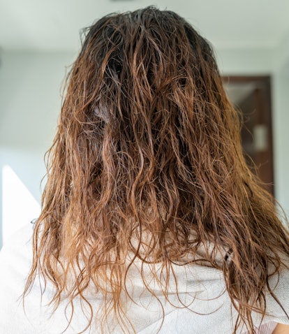 Can going outside with wet hair make you sick? A pediatrician reveals the  cold truth