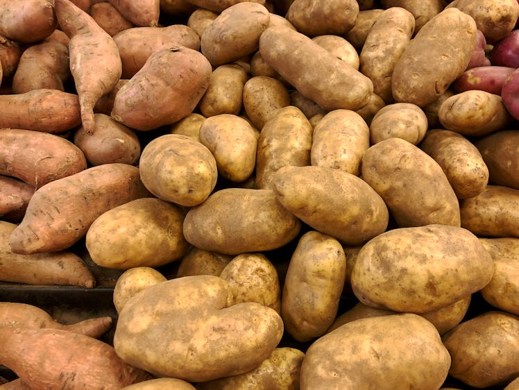 russet potato