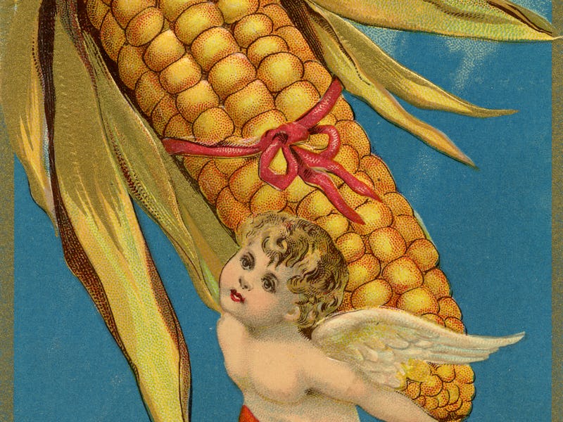 Illustration for Thanksgiving postcard featuring young angel carrying oversized corn cob.
