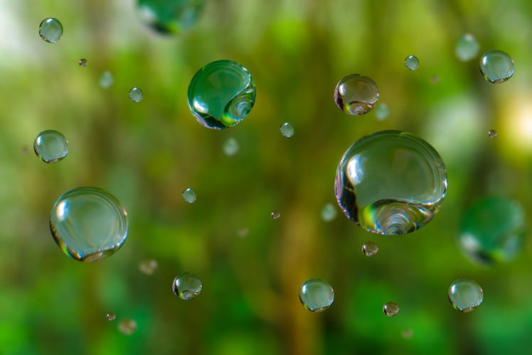 Large water droplets in beautiful backlighting shine on green leaves in the sunlight. Macro photogra...