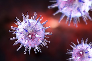 Epstein-Barr virus (EBV), computer illustration. EBV, also known as human herpes virus 4, is 1 of 8 ...