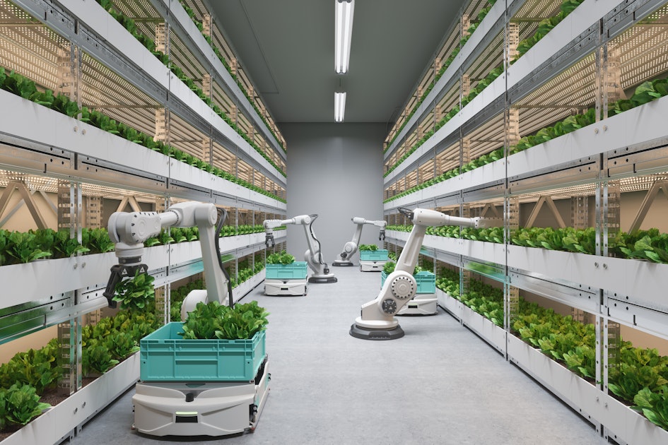 farms could solve a major food