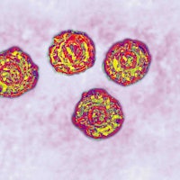 Hepatitis C vaccine: Scientists just made a major breakthrough