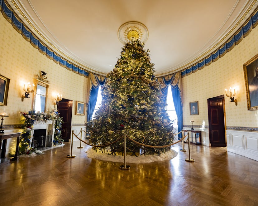 WASHINGTON, UNITED STATES- NOVEMBER 28: Christmas decorations are seen in the Blue Room of the White...