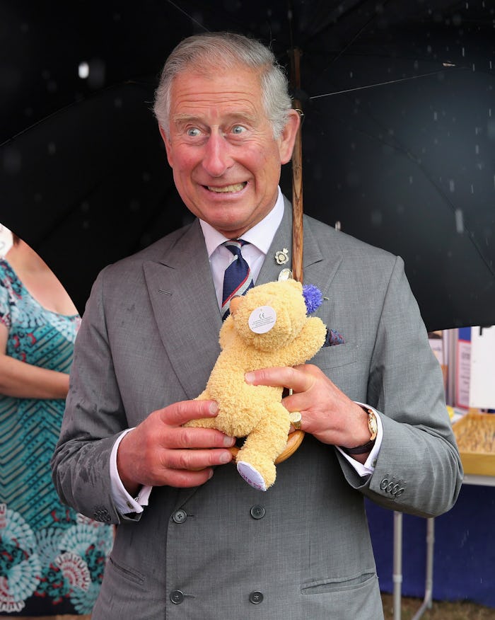 King Charles travels with his own teddy bear.