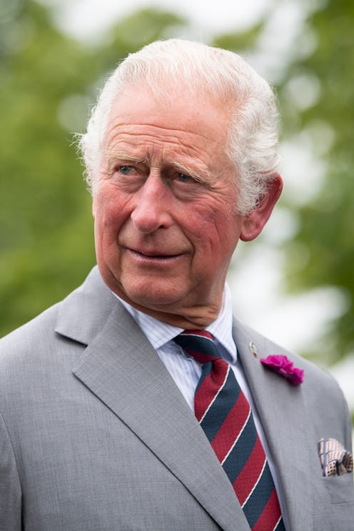 CARDIFF, WALES - JULY 09: Prince Charles, Prince of Wales, President of The Princes Trust, meets sta...