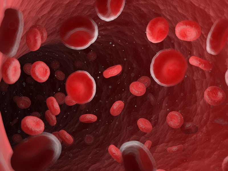 Red blood cells in a human artery, illustration.