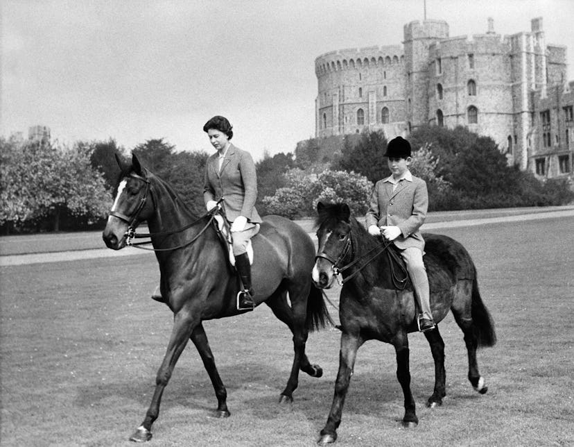Horses are a big part of the royal family.