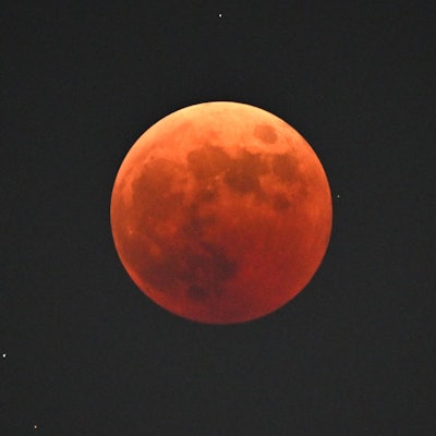 The blood moon is seen during a total lunar eclipse in Goyang, northwest of Seoul, on November 8, 20...