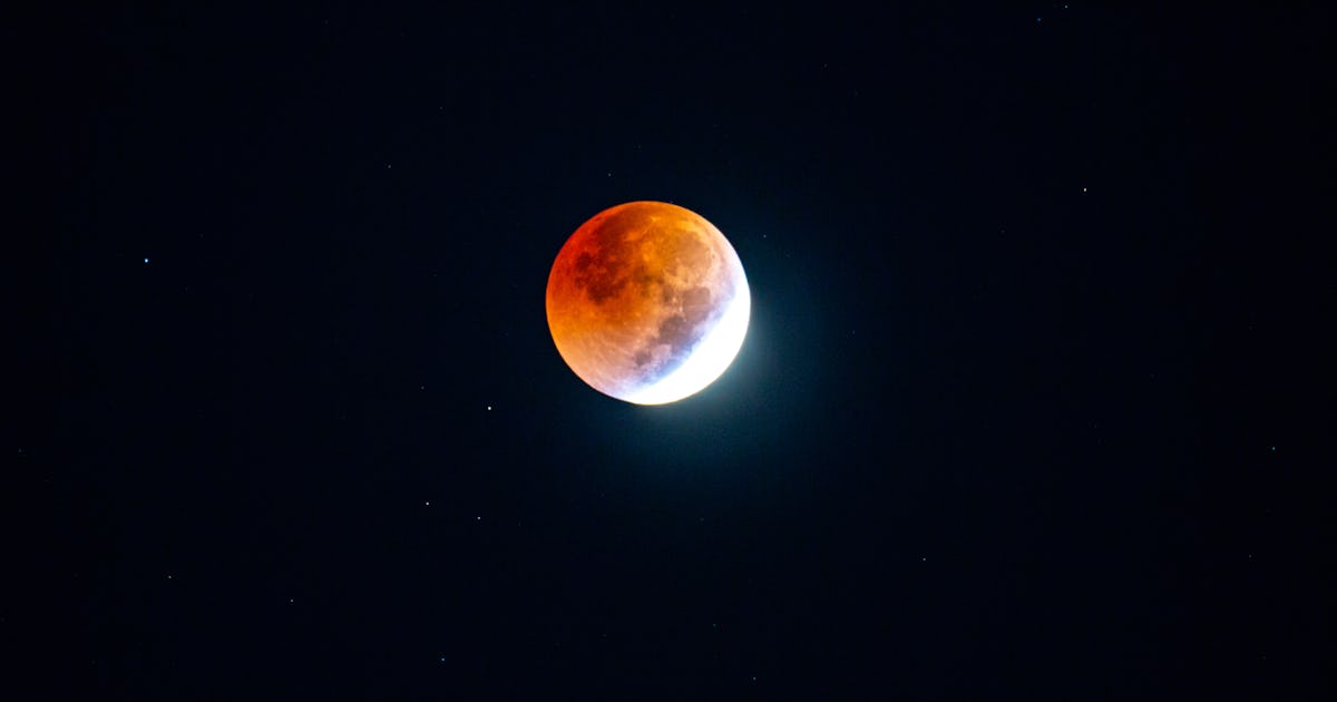 Beaver Blood Moon 9 Breathtaking Images Of November s Lunar Eclipse beaver-blood-moon-9-breathtaking-images-of-november-s-lunar-eclipse