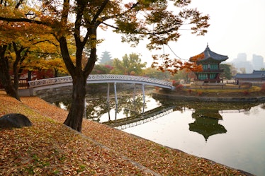 South Korea is one of the destinations that's part of EF Ultimate Break's Black Friday 2022 travel d...