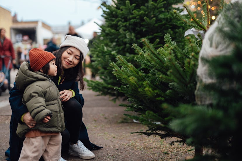 Young mother squatting next to her little girl while choosing Christmas tree at the market