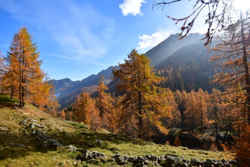 In Gran Paradiso National Park