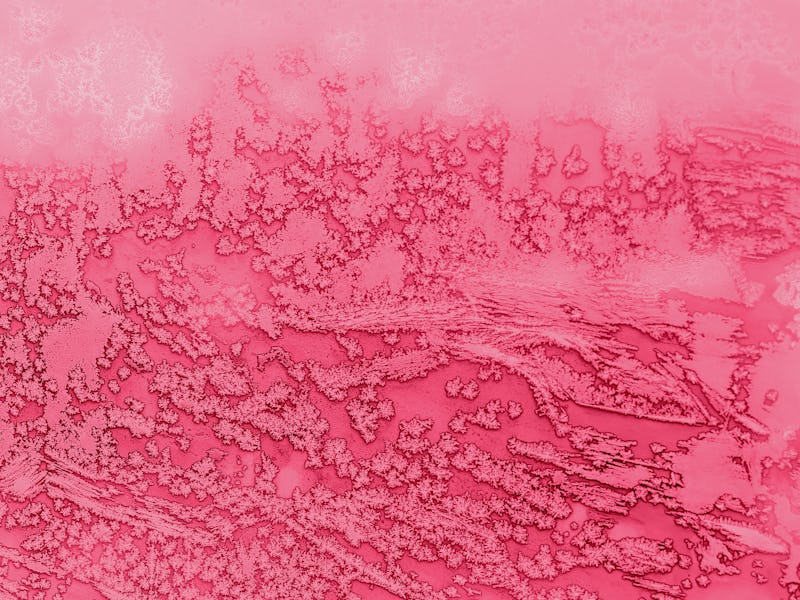 Christmas Coming. Vibrant Pink Colored Abstract Winter Background, Frosty Glass Surface. Full Frame,...