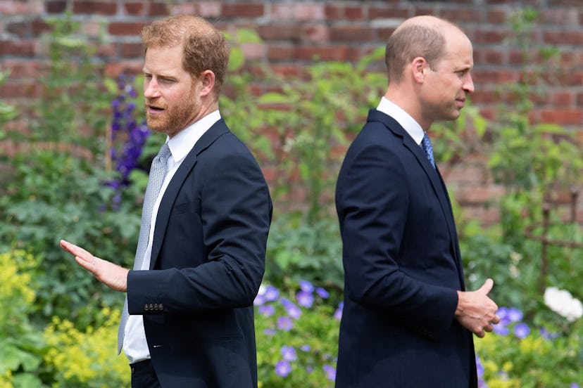 TOPSHOT - Britain's Prince Harry, Duke of Sussex (L) and Britain's Prince William, Duke of Cambridge...