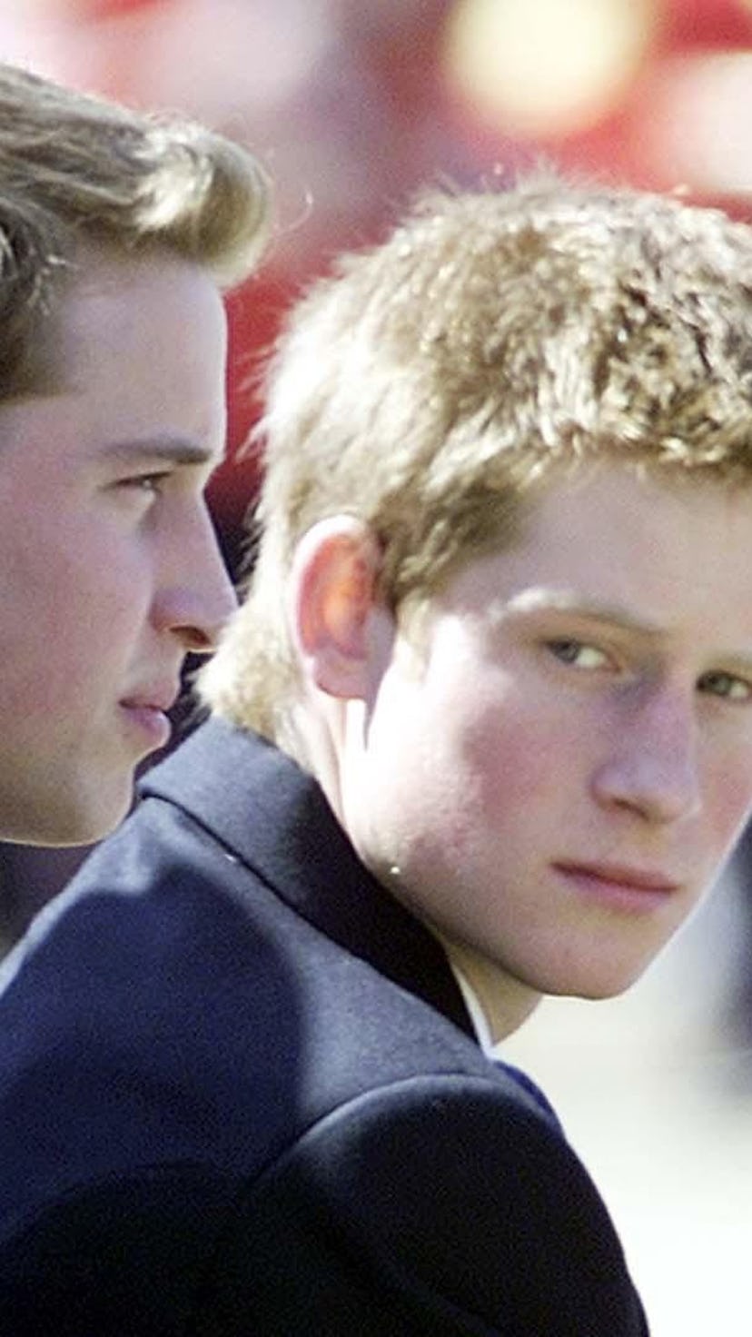 A Body Language Expert Tells Us About Prince William & Harry's Evolving Dynamics