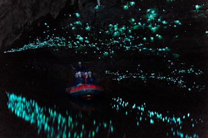 Tourists check out the glowworms of the Waitomo Caves, which is what 'Avatar' was inspired by and Ne...