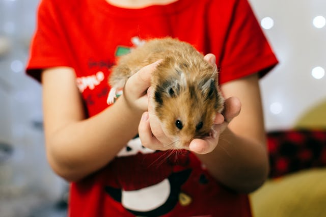 Photo taken in Kirov, Russia