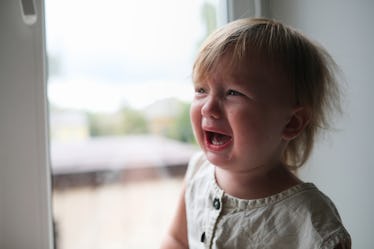 孩子的情绪和挫折。