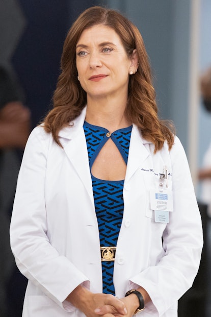 Addison's return on ‘Grey's Anatomy’ has some viewers wondering: will there be a ‘Private Practice’ ...