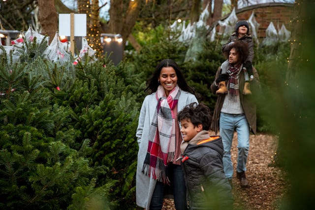 A multi-ethnic family at a Christmas tree farm together in Newcastle-Upon-Tyne. The eldest son is pu...