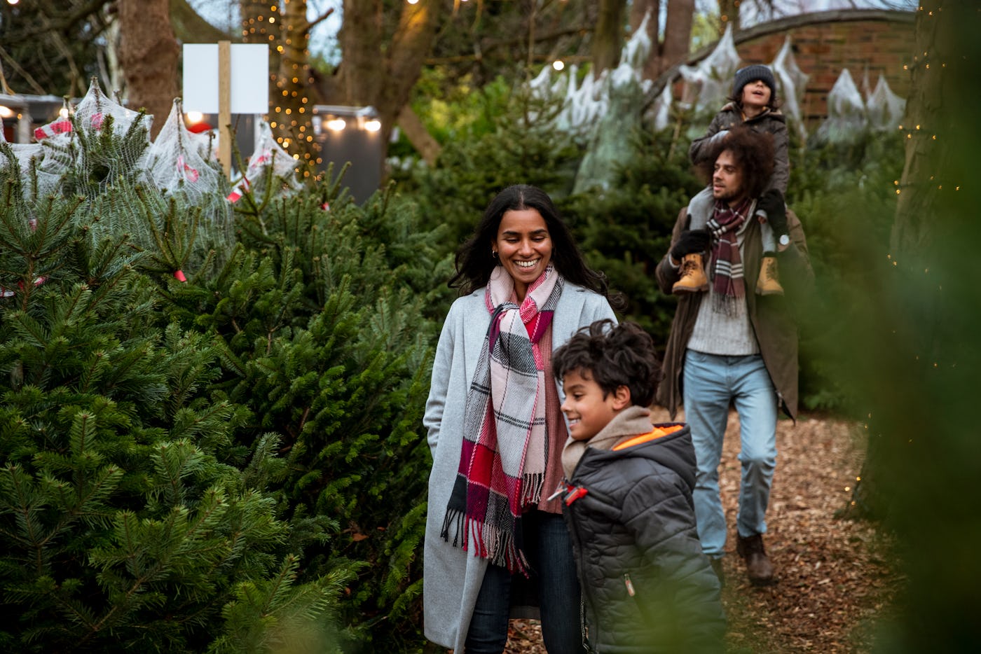 A multi-ethnic family at a Christmas tree farm together in Newcastle-Upon-Tyne. The eldest son is pulling his mother to show her something and the father is walking behind them while carrying the youngest son on his shoulders.