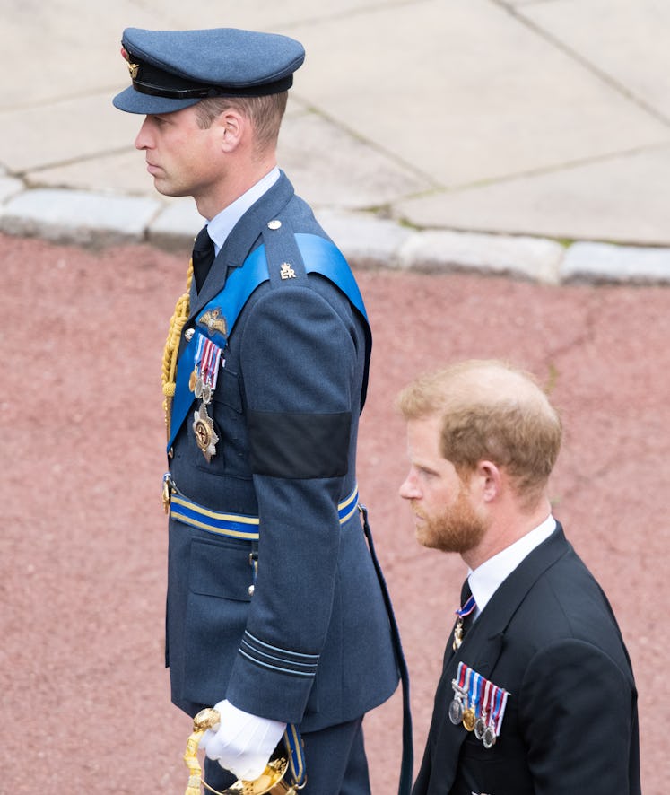 Prince William Prince of Wales and Prince Harry, Duke of Sussex.
