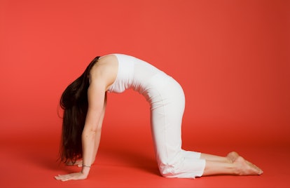 A woman performs a cat-cow pose, which is an exercise from a beginner yoga workout. 