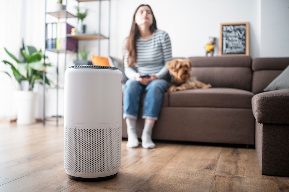 Your air purifier can do more harm than good