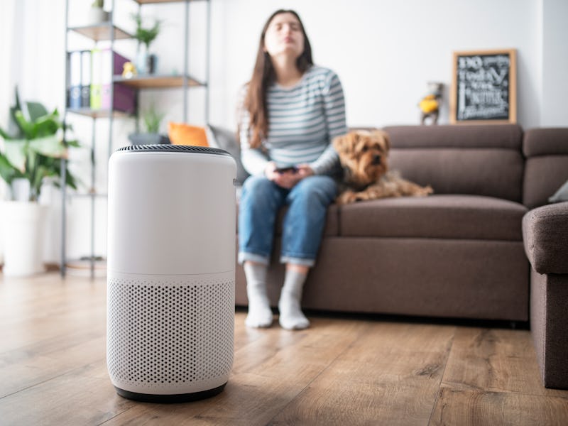 Young woman sitting next to air purifier enjoying the freshness of the air.