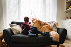 boy with dog on couch looking out the window in article what to say when someone's pet dies