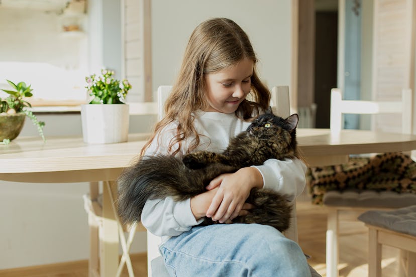 cat with girl in article about sayings when pet dies 