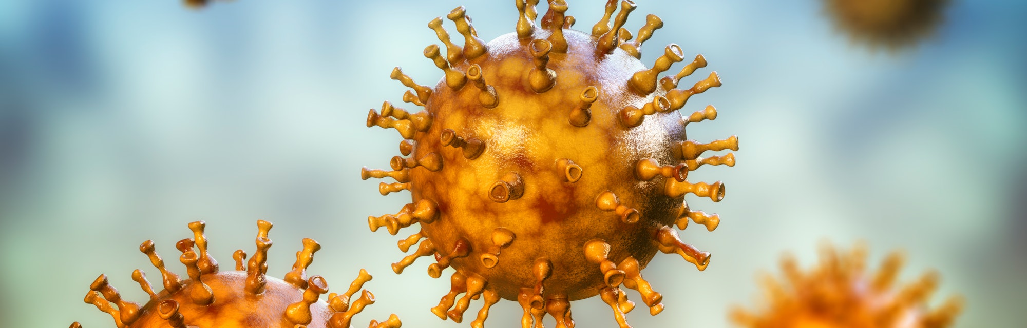 Computer illustration of a varicella zoster virus particle, the cause of chickenpox and shingles. Va...