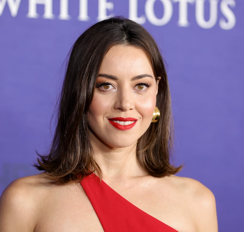 In an interview with Drew Barrymore, Aubrey Plaza revealed she said Barrymore was her "dream mom."