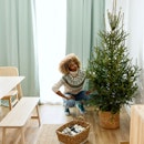Woman decorating the Christmas tree at home. New Year and Christmas celebration concept