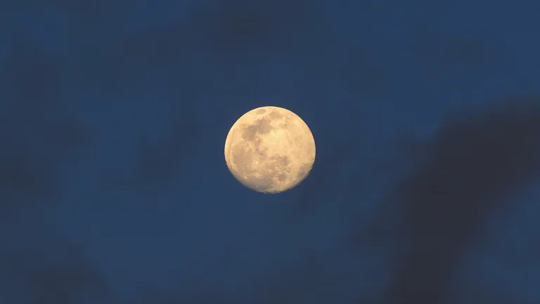 January Full Wolf Moon Dos & Don'ts For 2023