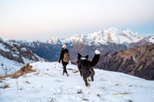 Here’s your daily horoscope for December 29, 2022.