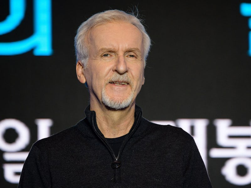 Canadian filmmaker James Cameron arrives for a press conference to promote his new film Avatar: The ...