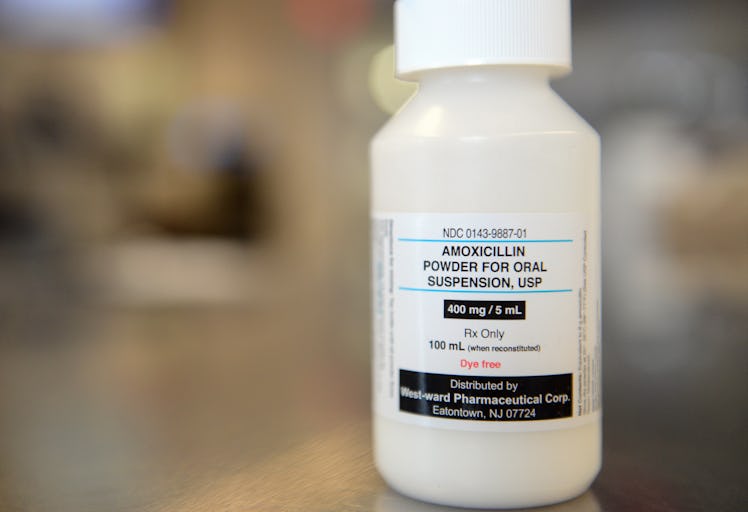 Antibiotic resistence  A suspension of the common antibiotic Amoxicillin Trihydrate in the pharmacy ...