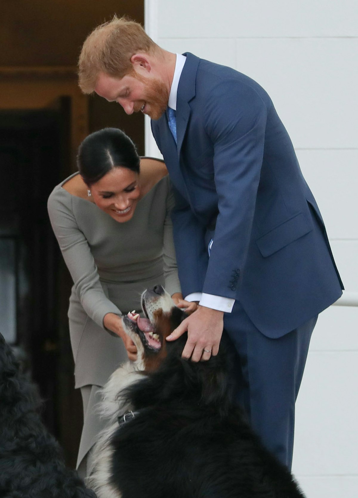 Britain's Prince Harry (R) and wife Meghan (2R), Duke and Duchess of Sussex greet the dogs of Irelan...