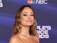 At the 2022 People's Choice Awards, producers seemed to blur out the top-half of Olivia Wilde's dres...