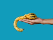 a young man holds a squash with a strange hand in his hand on a blue background