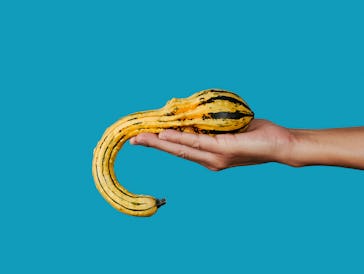 a young man holds a squash with a strange hand in his hand on a blue background