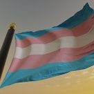 Transgender pride flag blowing in the wind.