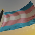 Transgender pride flag blowing in the wind.