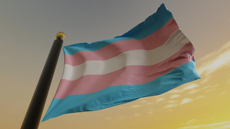Transgender pride flag blowing in the wind.