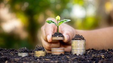 投资者手里拿着一枚硬币，上面长着一棵生长在金融和投资概念上的树……