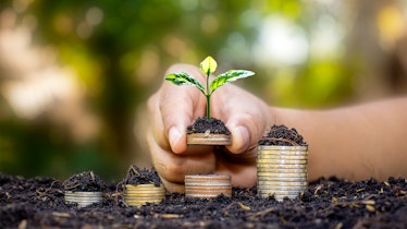 Investor's hand holding a coin with a tree growing on the concept of financial and investment succes...