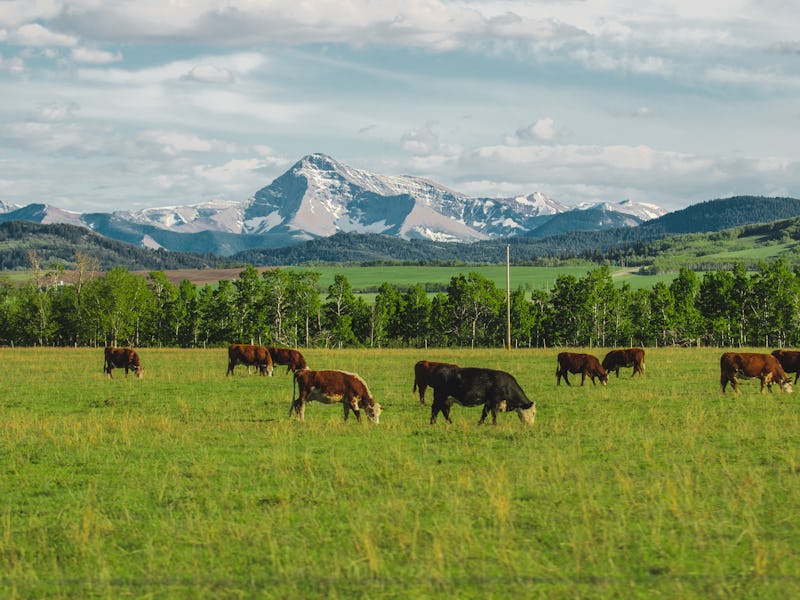 Photo taken in Waterton Lakes, Canada