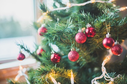 Close up of little red Christmas ornament bulbs bunched together on a Christmas tree, pair this phot...